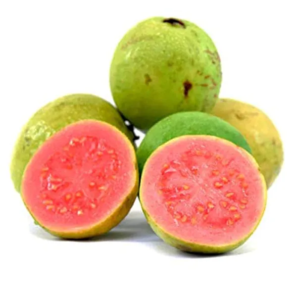 Live_Red_Guava_Plant_Suitable_For_Default_Title