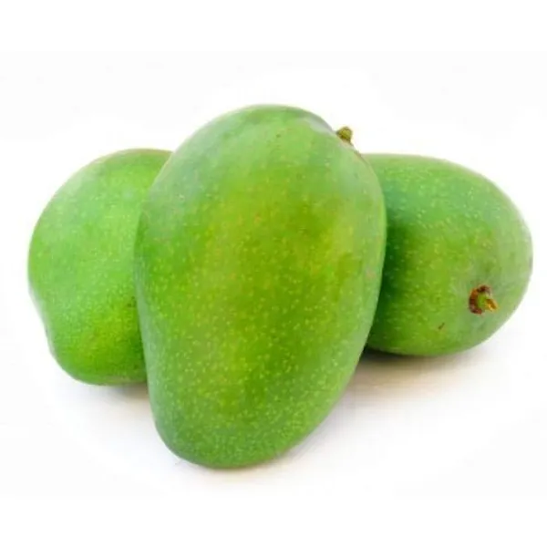 Exclusive_Rajapuri_Mango_Plant_Grafted_Plant_Default_Title