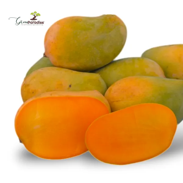Exclusive_Original_Kesar_Mango_Live_Plant_Green_Paradise_Live_Default_Title