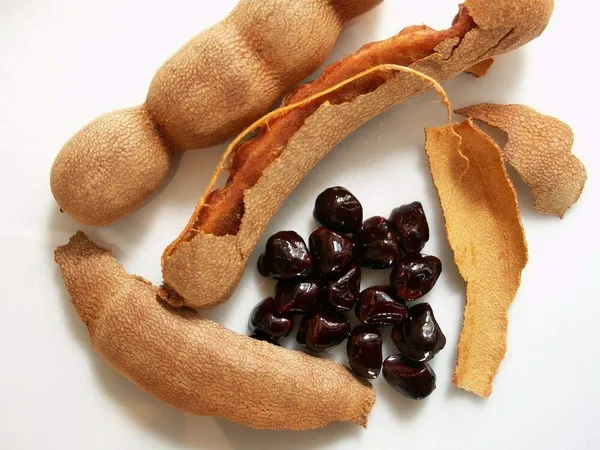 Exclusive_Sweet_Tamarind_Live_Plant_Suitable_For_Bonsai_Default_Title