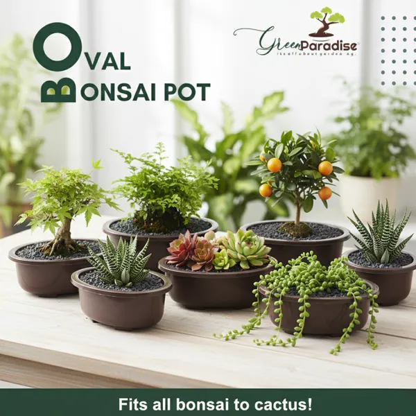 Green_Paradise_Oval_Bonsai_Pot_Set_Of_5_5_5_Inch_Plastic_Bonsai_Training_Pots_Purple_Clay_Color_Small_Planters_For_Indoor_Outdoor_Plants_Default_Title