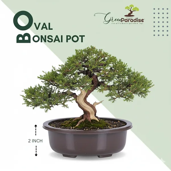 Green_Paradise_Oval_Bonsai_Pot_Set_Of_5_5_5_Inch_Plastic_Bonsai_Training_Pots_Purple_Clay_Color_Small_Planters_For_Indoor_Outdoor_Plants_Default_Title