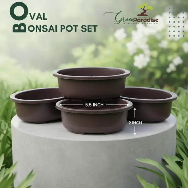 Green_Paradise_Oval_Bonsai_Pot_Set_Of_5_5_5_Inch_Plastic_Bonsai_Training_Pots_Purple_Clay_Color_Small_Planters_For_Indoor_Outdoor_Plants_Default_Title
