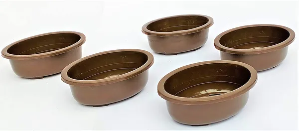 Green_Paradise_Oval_Bonsai_Pot_Set_Of_5_5_5_Inch_Plastic_Bonsai_Training_Pots_Purple_Clay_Color_Small_Planters_For_Indoor_Outdoor_Plants_Default_Title
