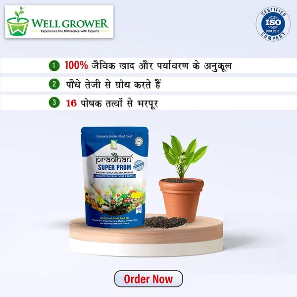 Super_Prom_Organic_Fertilizer_Granule_By_Pradhan_Pack_Of_5_2500_Gram_Default_Title