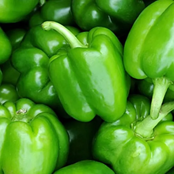 Green_Paradise_Bell_Pepper_Seeds_Default_Title