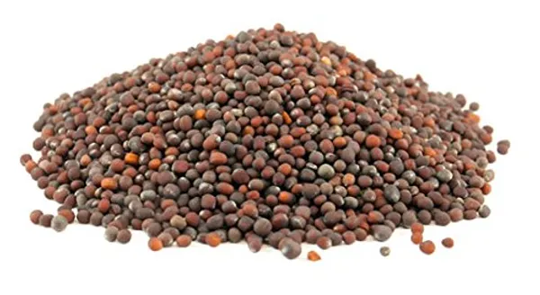 Green_Paradise_Broccoli_Seeds_Default_Title