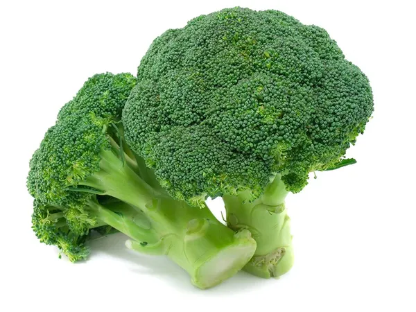 Green_Paradise_Broccoli_Seeds_Default_Title