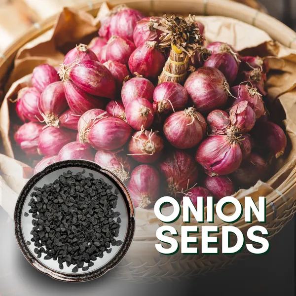 Green_Paradise_Onions_Seeds_Default_Title