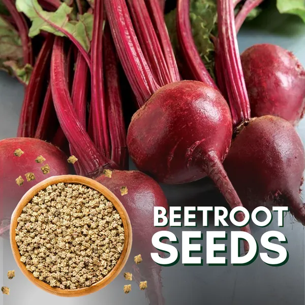 Beetroot_Seeds_Default_Title