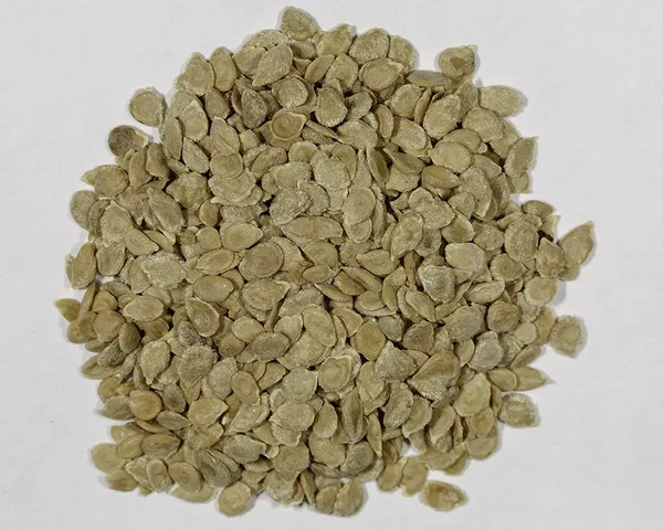 Green_Paradise_Yellow_Cherry_Tomato_Seeds_Default_Title