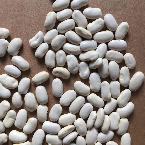 French_Bean_Seeds_Pack_Of_10_Seeds_Default_Title