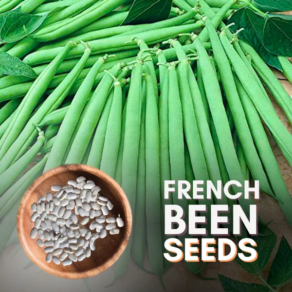 French_Bean_Seeds_Pack_Of_10_Seeds_Default_Title