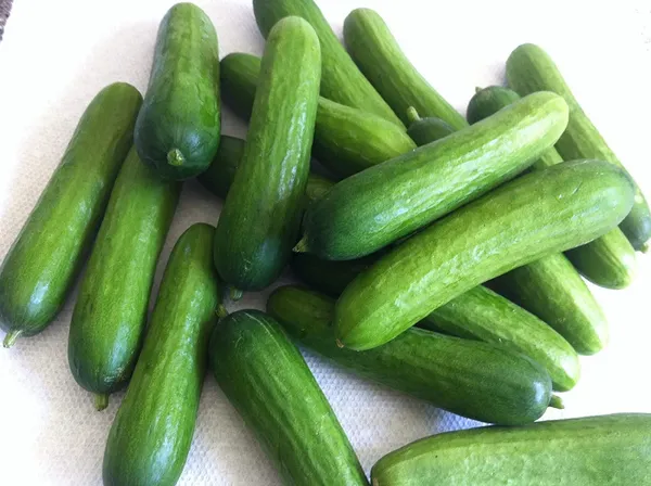 Green_Paradise_Cucumber_Seeds_Default_Title