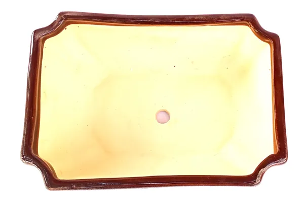 Ceramic_Pot_For_Bonsai_Trees_Size_24_Cm_Rectangle_Shape_Default_Title