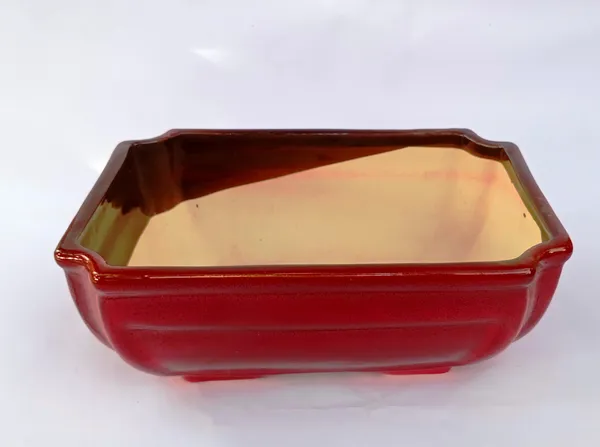 Ceramic_Pot_For_Bonsai_Trees_Size_24_Cm_Rectangle_Shape_Default_Title