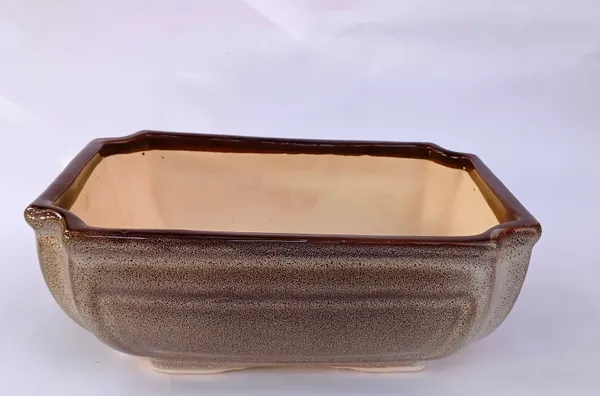 Ceramic_Pot_For_Bonsai_Trees_Size_24_Cm_Rectangle_Shape_Default_Title
