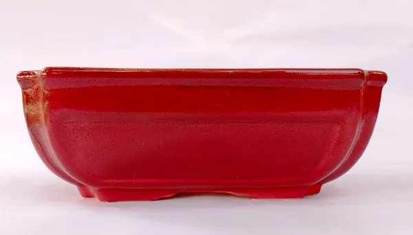 Ceramic_Pot_For_Bonsai_Trees_Size_24_Cm_Rectangle_Shape_Default_Title