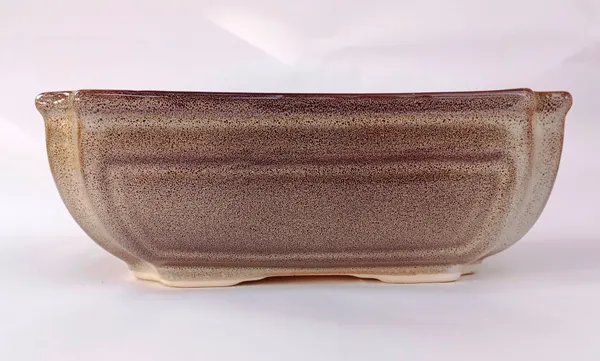 Ceramic_Pot_For_Bonsai_Trees_Size_24_Cm_Rectangle_Shape_Default_Title