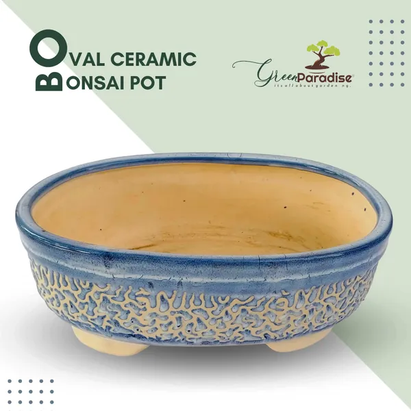 Green_Paradise_Ceramic_Pot_For_Bonsai_Trees_Size_27cm_Oval_Shape_Default_Title