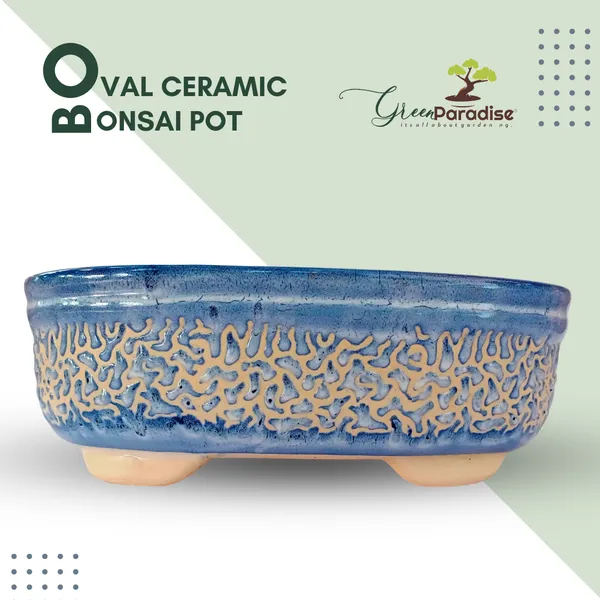 Green_Paradise_Ceramic_Pot_For_Bonsai_Trees_Size_27cm_Oval_Shape_Default_Title