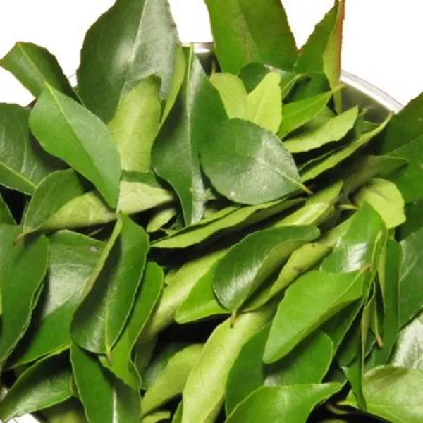 Kari_Patta_Live_Plant_Default_Title