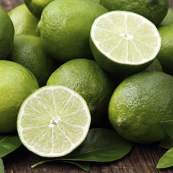 Seedless_Lemon_Plant_Live_Healthy_Airlayered_Seedless_Lemon_Plant_For_Kitchen_Gardening_Lemon_Plant_In_Poly_Bag_Default_Title
