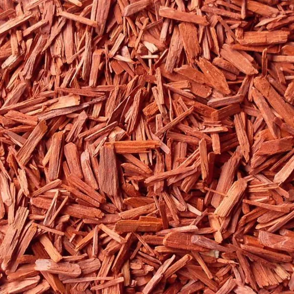 Green_Paradise_Red_Sandalwood_Plant_Default_Title