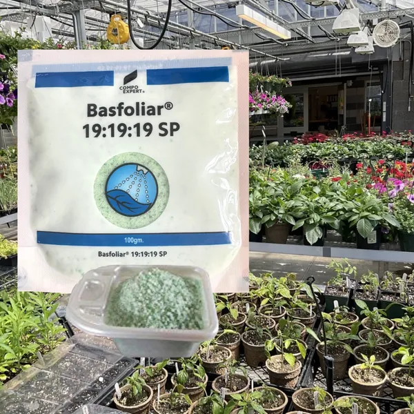 Basfoliar_19_19_19_For_Home_Garden_Plants_Elevate_Your_Plant_S_Growth_To_New_Heights_100gm_Default_Title