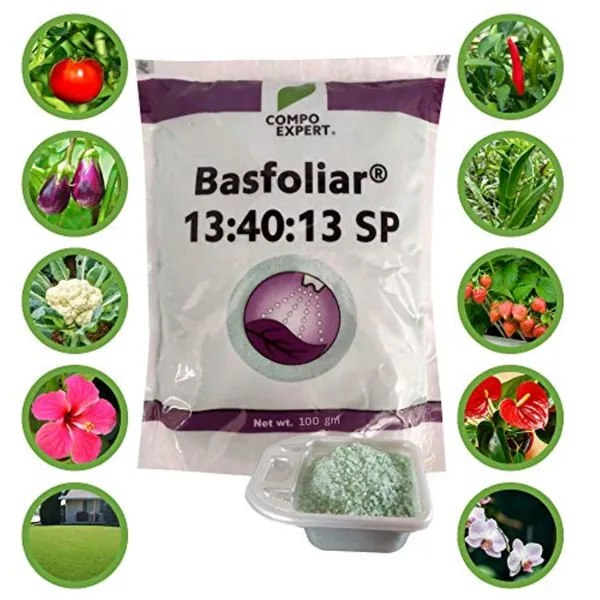 Basfoliar_13_40_13_Npk_For_Home_Garden_Plants_The_Ultimate_Plant_Nutrition_Solution_100_Gm_Default_Title