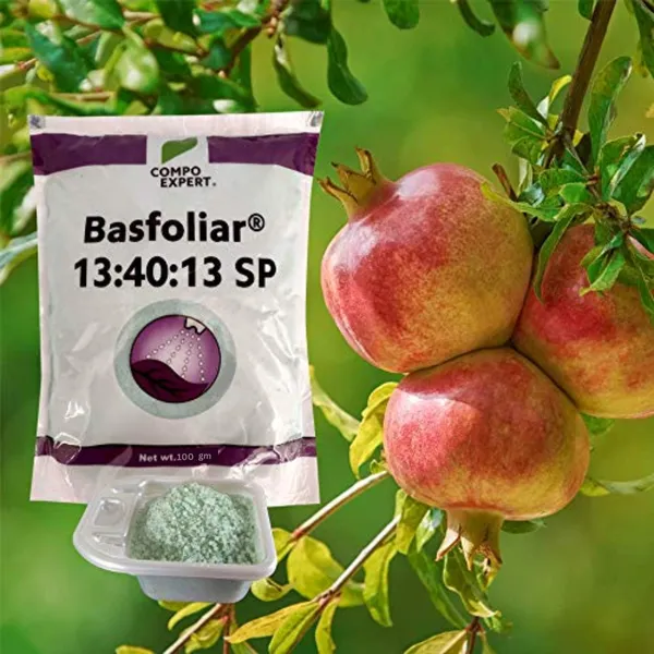 Basfoliar_13_40_13_Npk_For_Home_Garden_Plants_The_Ultimate_Plant_Nutrition_Solution_100_Gm_Default_Title
