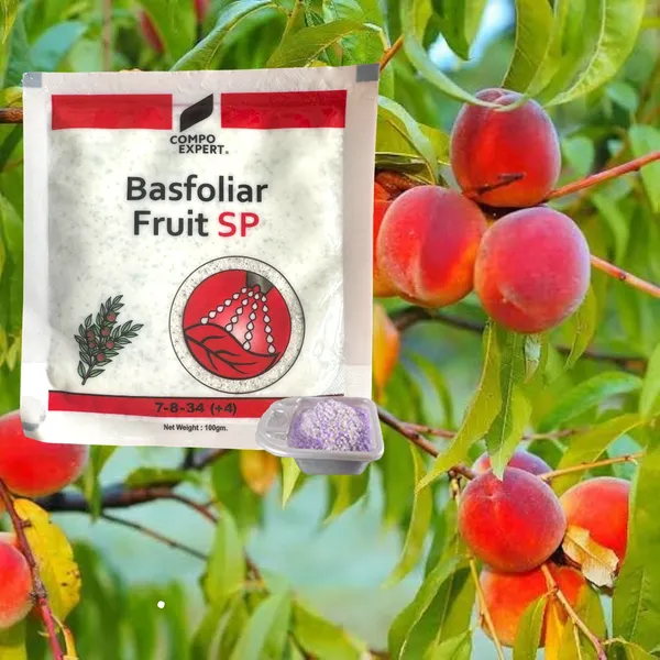 Basfoliar_Fruit_Sp_For_Home_Garden_Plants_The_Ultimate_Plant_Nutrition_Solution_100_Gm_Default_Title