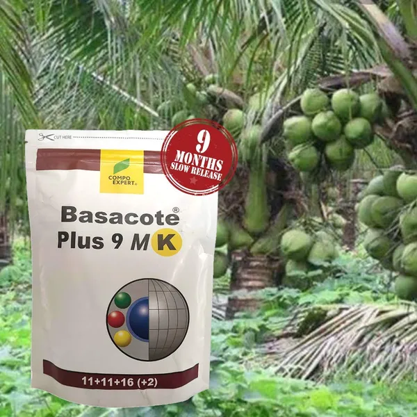 Slow_Release_Fertilizer_100g_Pack_9_Months_Slow_Release_Npk_Fertilizer_11_11_16_Micronutrients_For_Bonsai_And_Other_Garden_Plants_100g_Pack_Once_Applied_No_Need_To_Give_Any_Fertilizer_For_Next_9_Months_Default_Title