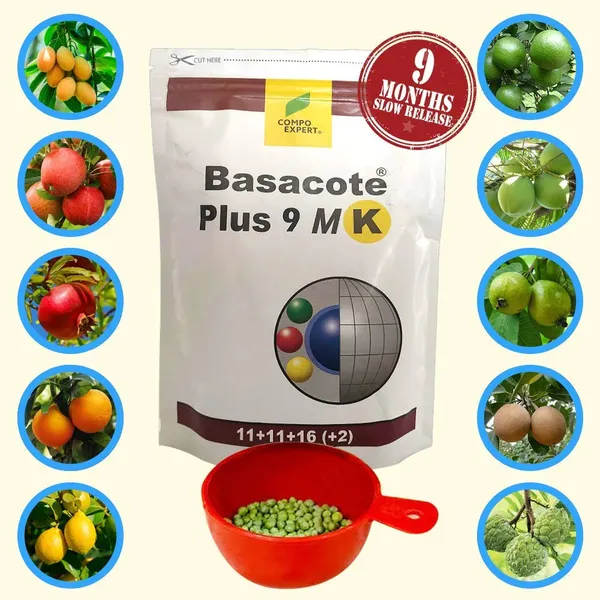 Slow_Release_Fertilizer_100g_Pack_9_Months_Slow_Release_Npk_Fertilizer_11_11_16_Micronutrients_For_Bonsai_And_Other_Garden_Plants_100g_Pack_Once_Applied_No_Need_To_Give_Any_Fertilizer_For_Next_9_Months_Default_Title