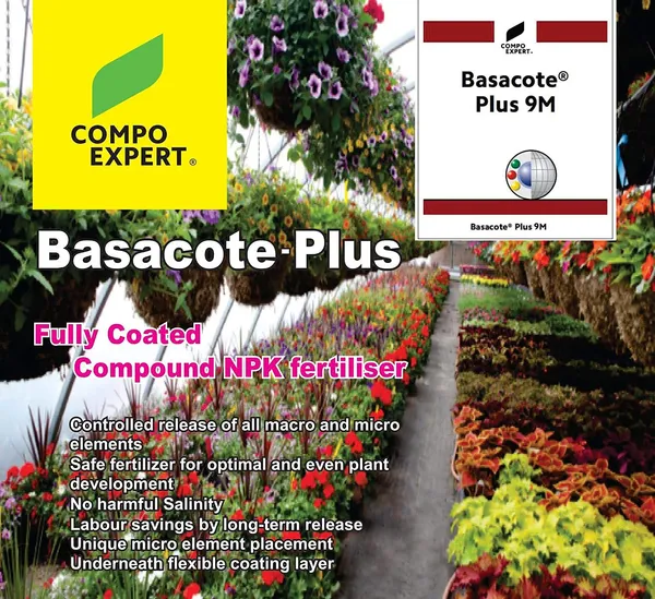 Slow_Release_Fertilizer_100g_Pack_9_Months_Slow_Release_Npk_Fertilizer_11_11_16_Micronutrients_For_Bonsai_And_Other_Garden_Plants_100g_Pack_Once_Applied_No_Need_To_Give_Any_Fertilizer_For_Next_9_Months_Default_Title