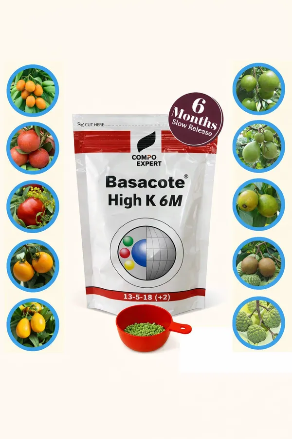 Slow_Release_Fertilizer_100g_Pack_6_Months_Slow_Release_Npk_Fertilizer_13_5_18_2_Micronutrients_For_Bonsai_And_Other_Garden_Plants_100g_Pack_Once_Applied_No_Need_To_Give_Any_Fertilizer_For_Next_6_Months_Default_Title
