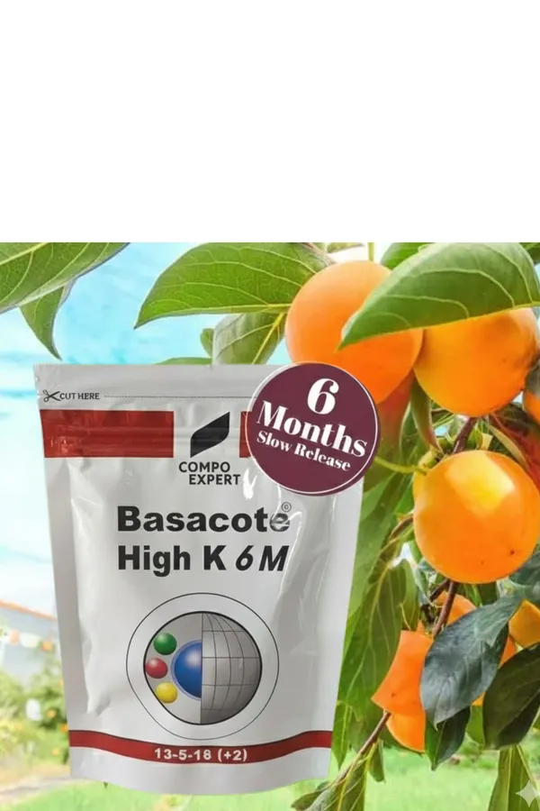 Slow_Release_Fertilizer_100g_Pack_6_Months_Slow_Release_Npk_Fertilizer_13_5_18_2_Micronutrients_For_Bonsai_And_Other_Garden_Plants_100g_Pack_Once_Applied_No_Need_To_Give_Any_Fertilizer_For_Next_6_Months_Default_Title
