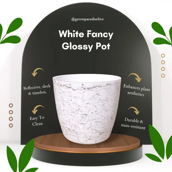 Green_Paradise_White_Glossy_Pots_With_Beautiful_Prints_19_Cm_Pot_Set_Of_3_Default_Title