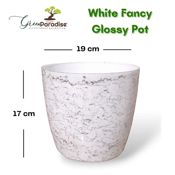 Green_Paradise_White_Glossy_Pots_With_Beautiful_Prints_19_Cm_Pot_Set_Of_3_Default_Title