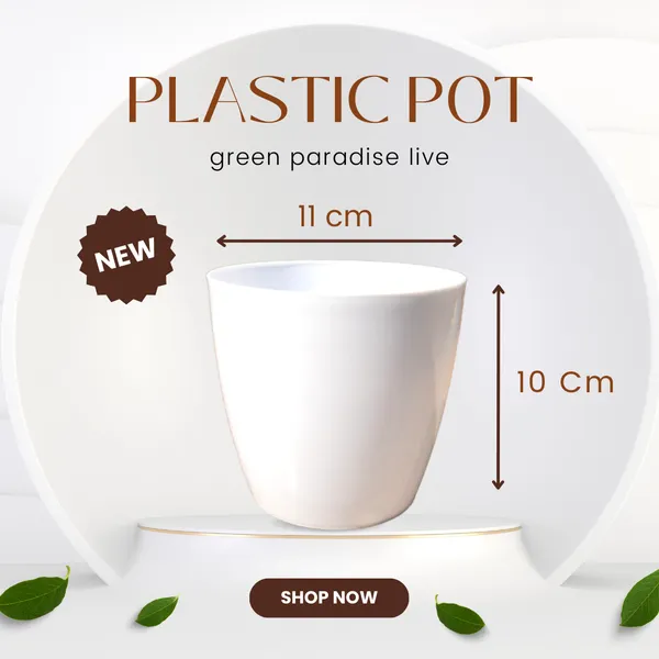 Green_Paradise_Premium_Glossy_Plastic_Pots_Set_Of_3_White