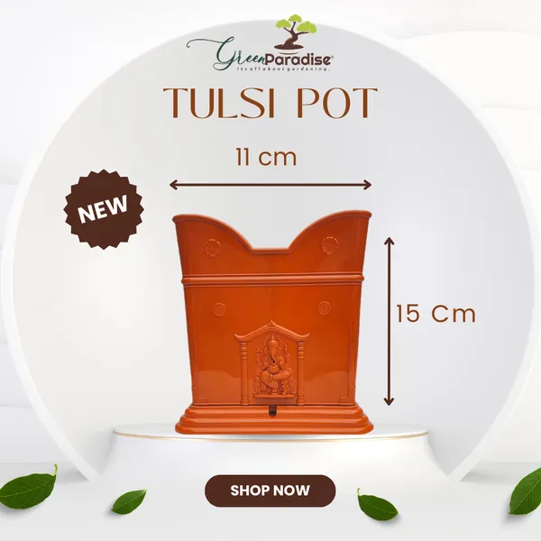 Green_Paradise_Tulsi_Planter_Premium_Quality_Plastic_Pot_Terracotta