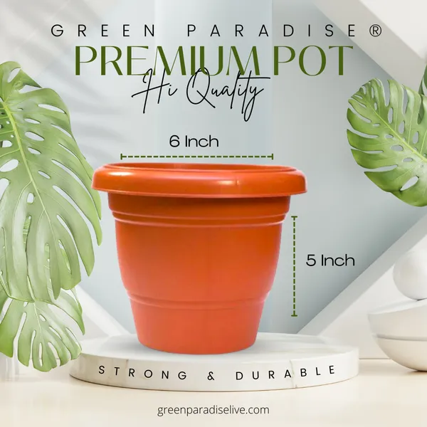 Green_Paradise_Hi_Quality_Premium_Plastic_Pot_Terracotta_Colour_Set_Of_6