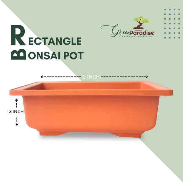 Green_Paradise_Rectangle_Bonsai_Plastic_Pot_Premium_Quality_Lightweight_Pot_For_Indoor_And_Outdoor_Bonsai_Trees_Brown_Single
