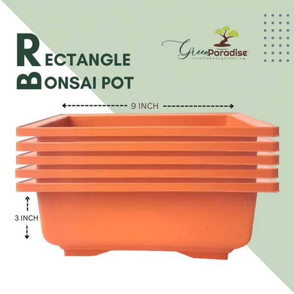 Green_Paradise_Rectangle_Bonsai_Plastic_Pot_Premium_Quality_Lightweight_Pot_For_Indoor_And_Outdoor_Bonsai_Trees_Brown_Set_Of_5