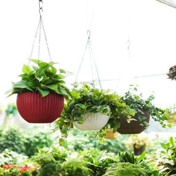 Flower_Pot_Hanging_Basket_With_Hook_Chain_For_Home_Garden_Office_Balcony_Grower_Planter_Size_6_Inch_Set_Of_3