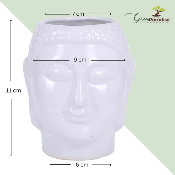 Green_Paradise_White_Ceramic_Pot_Hand_Made_With_Famous_Mughal_Art_For_Home_Decoration_Gift_Item_Indoor_Planter_Birthday_Gift_Diwali_Gift