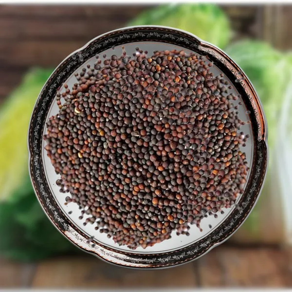 Green_Paradise_Chinese_Cabbage_Seeds_F1_Hybrid_Seeds_Default_Title