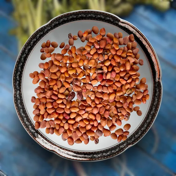 Green_Paradise_Exotic_Red_Radish_Seeds_Pack_Default_Title