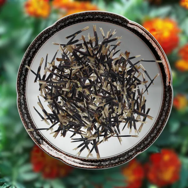 Green_Paradise_Marigold_Red_French_F1_Seeds_Pack_Default_Title