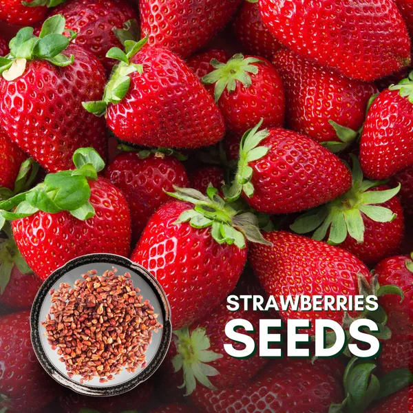 Green_Paradise_Exotic_New_Strawberry_Seeds_Pack_Default_Title
